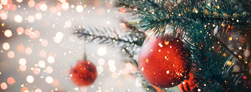 Collections Festive Image.jpg